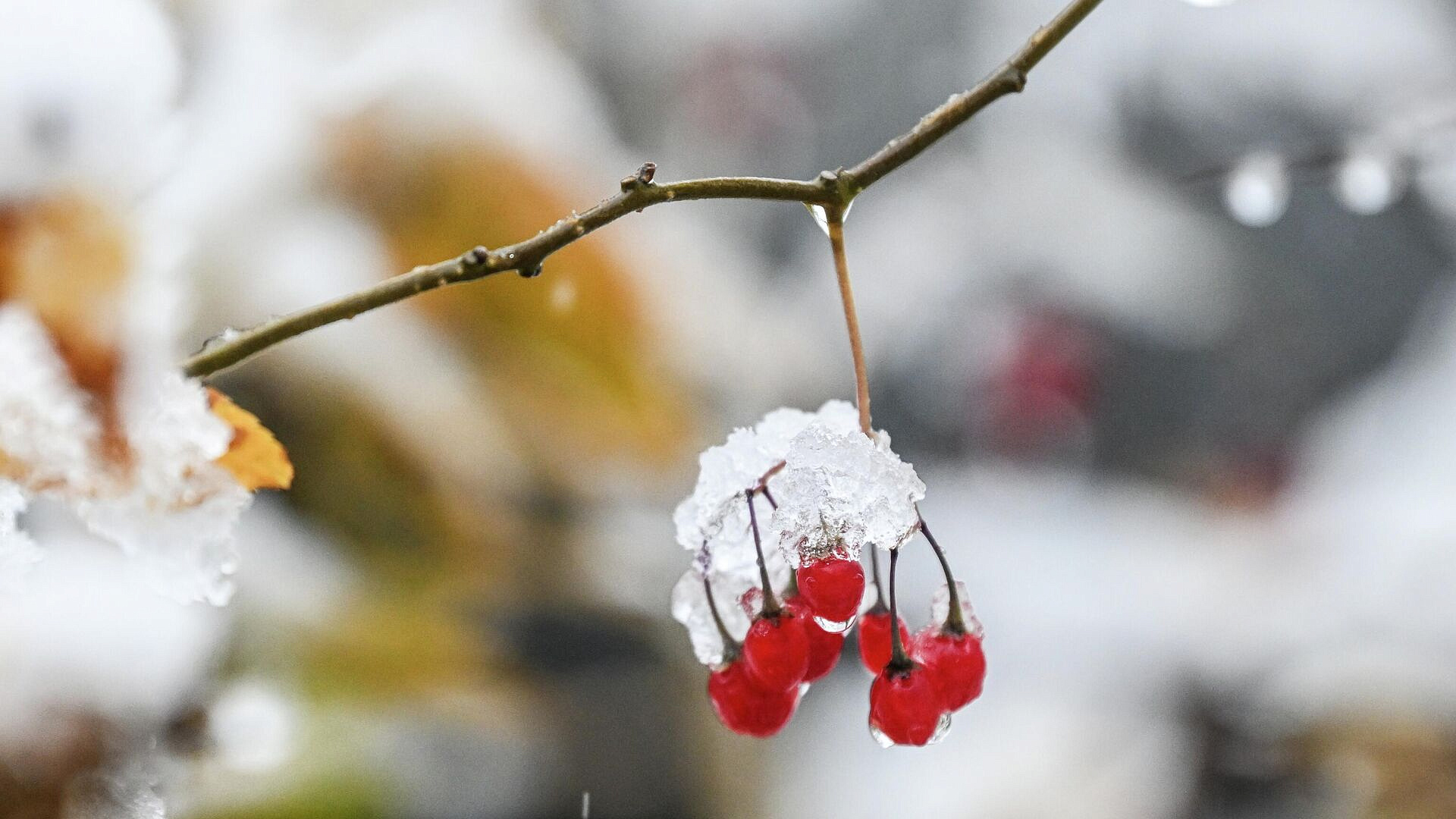 Прогноз погоды в России на февраль: к чему готовиться?