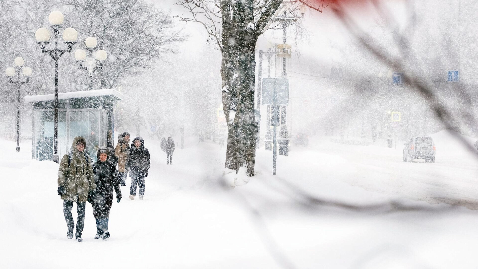 �������� ������, ��� � ����� ��������� ����