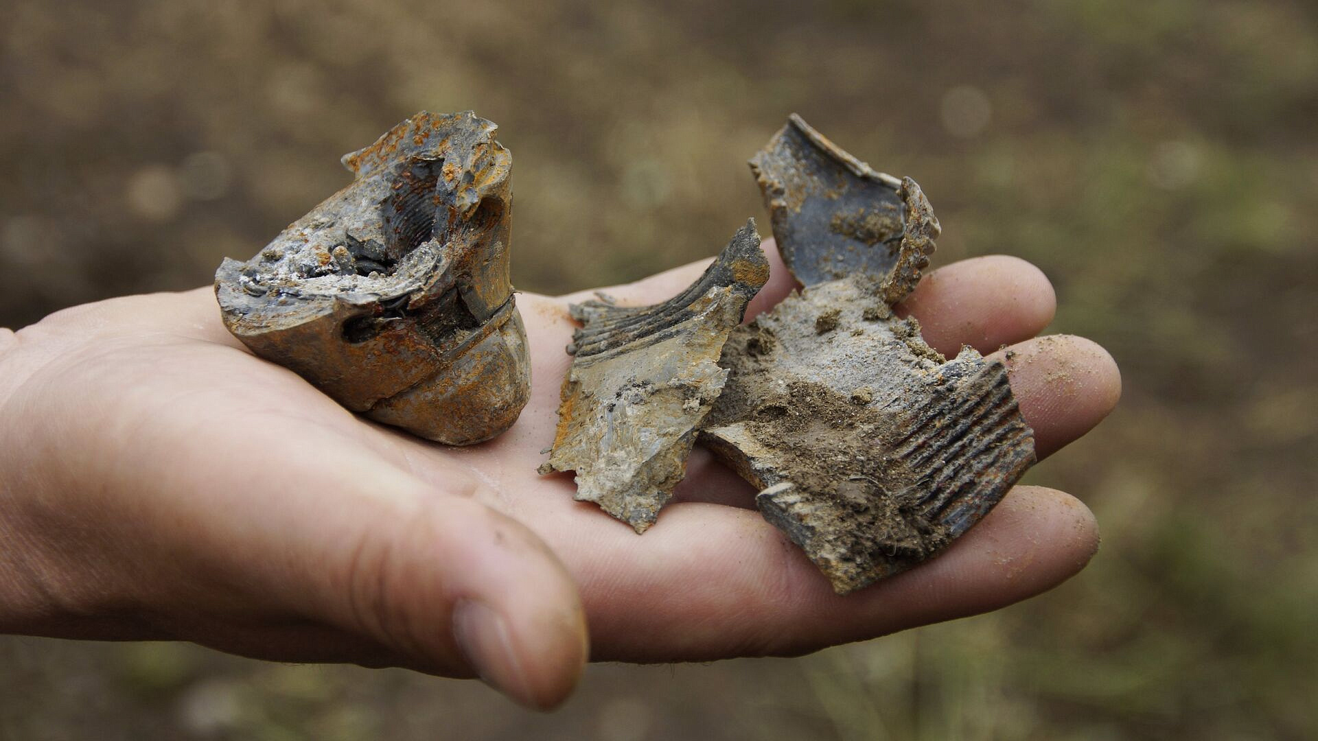 � ������� ������������� ����� ������ ��������