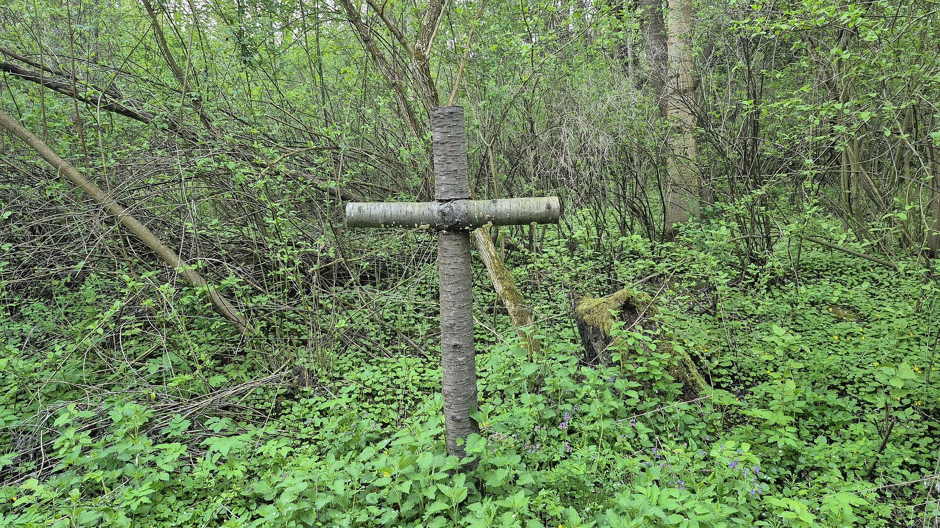 ����� ����� ��������� ����� ����� ������� ������ �����