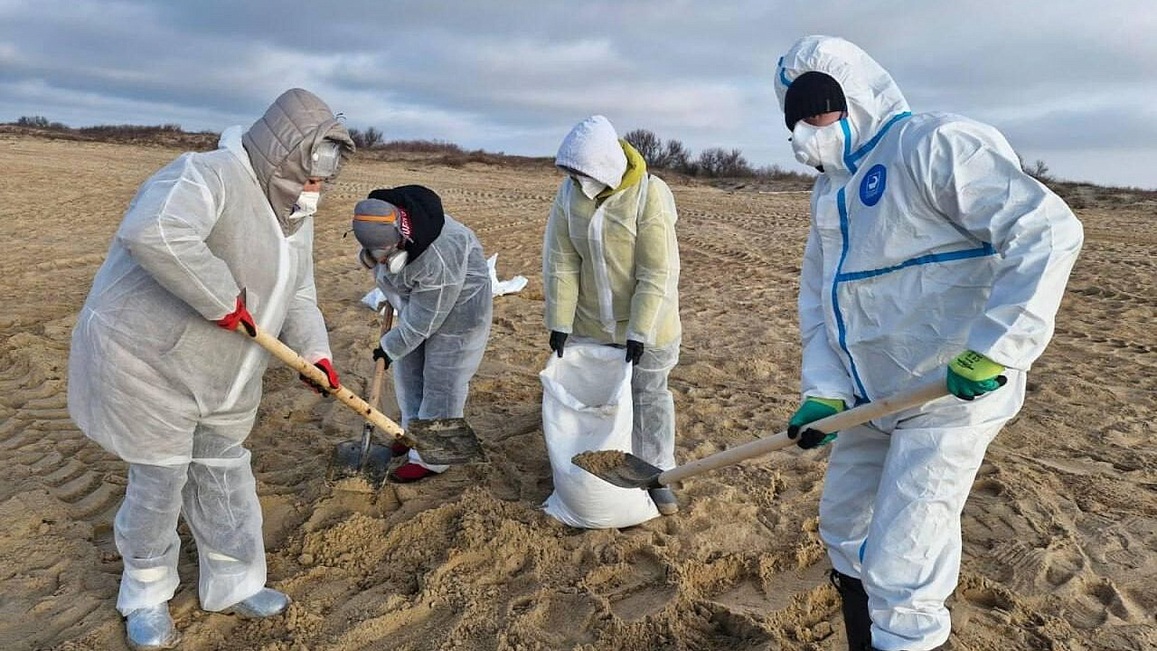 �������� ������� ������� �� ��������� ������� � ���� ������� ������