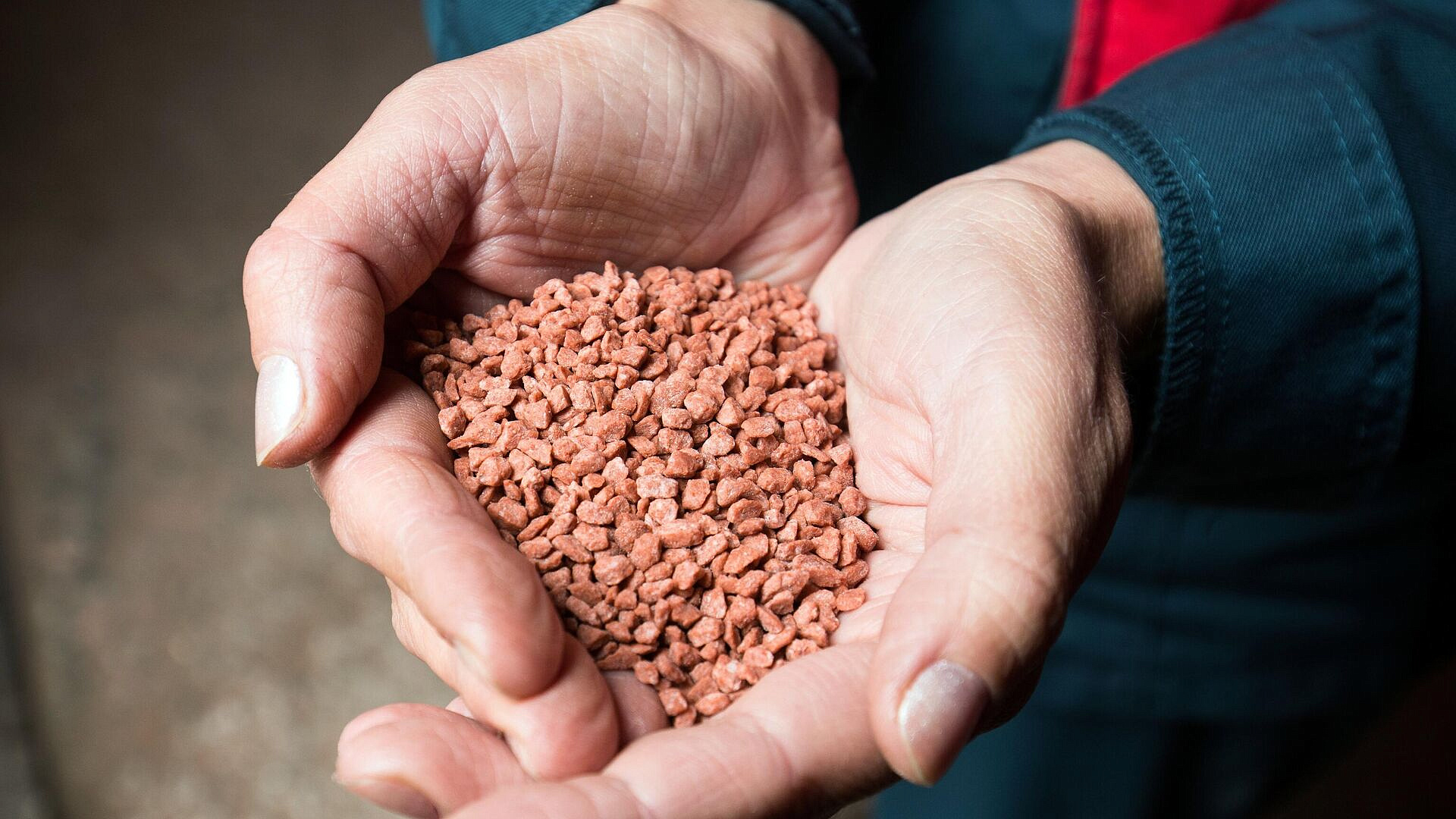 �������� ����� ���������� ����������� �� ���������� ���������