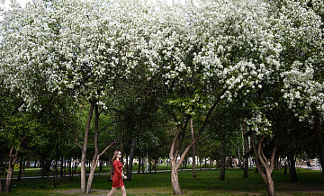 Врач рассказал, каких продуктов остерегаться людям с аллергией на пыльцу