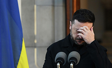 "Я готов". Зеленский отреагировал на переговоры Путина и Уиткоффа 
