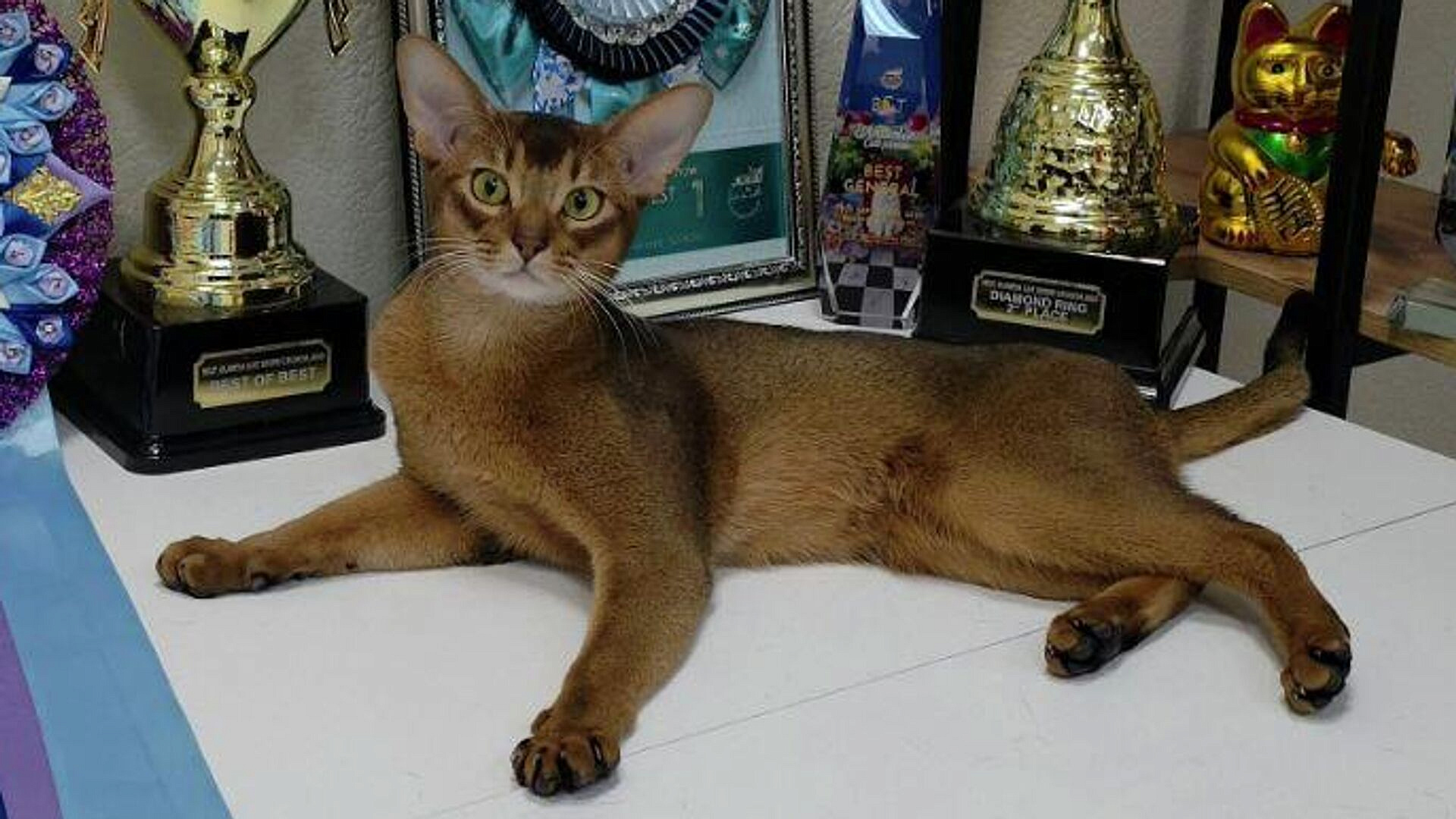 ��������� ������ ��������� � ���� ���� ��������, ����� ��� ������� � ������