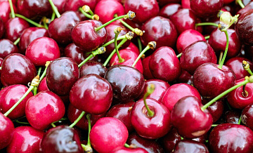 Россияне смогут купить ягоды и фрукты из Гагаузии