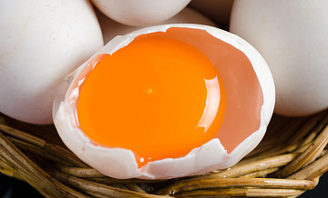 Врач рассказала о пользе яиц для здоровья
