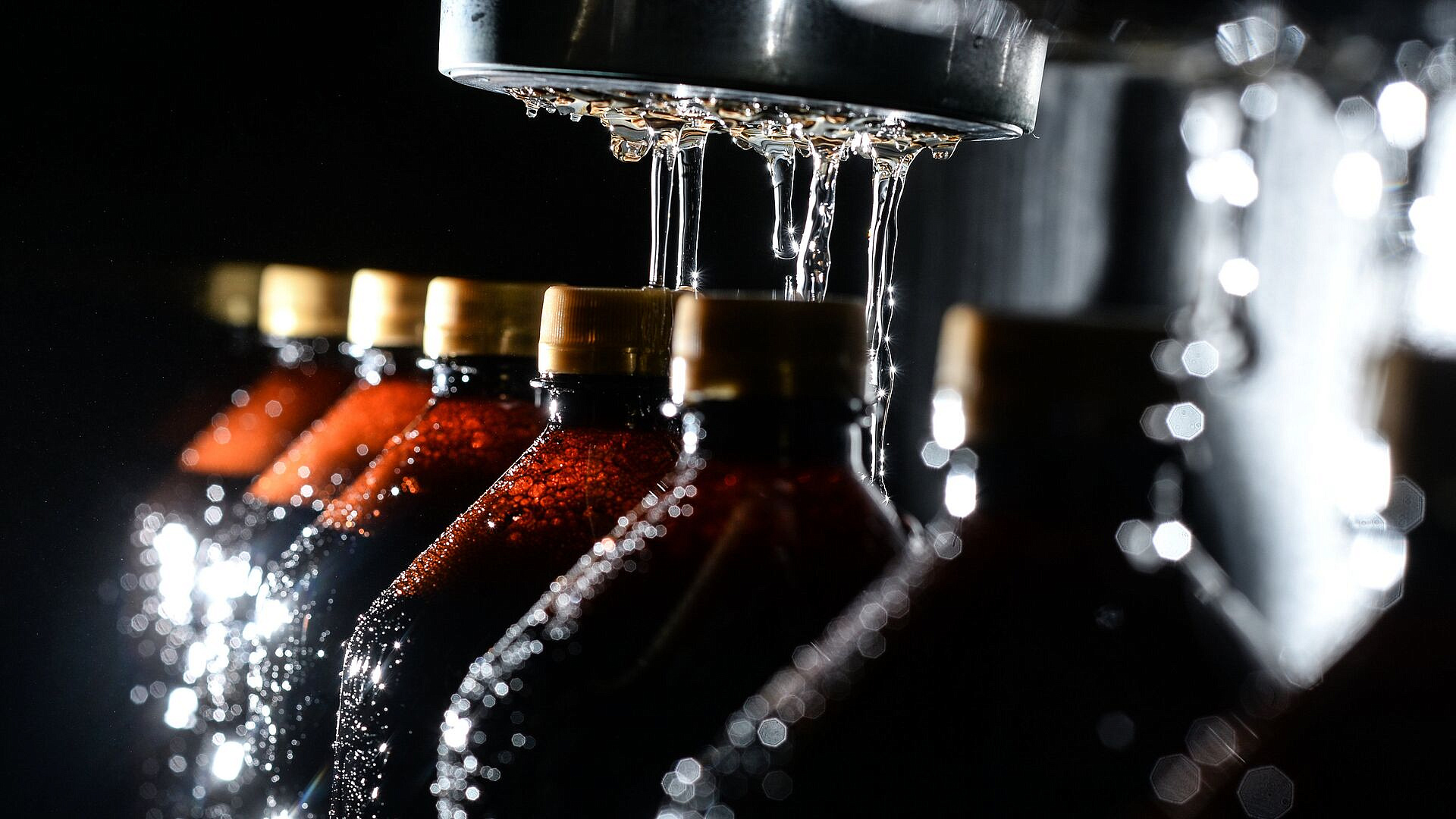 ���� ����������, ��� ������ �������� ����