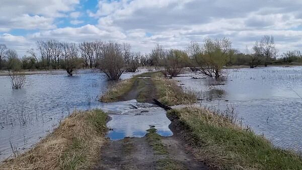 В Омской области затопило дорогу к одному из сел