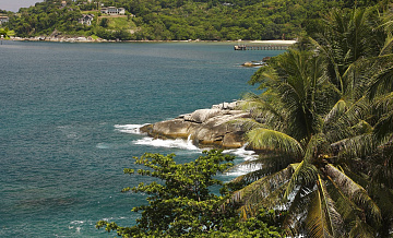 "Схватил и растоптал". СМИ сообщили о трагической гибели туриста в Таиланде