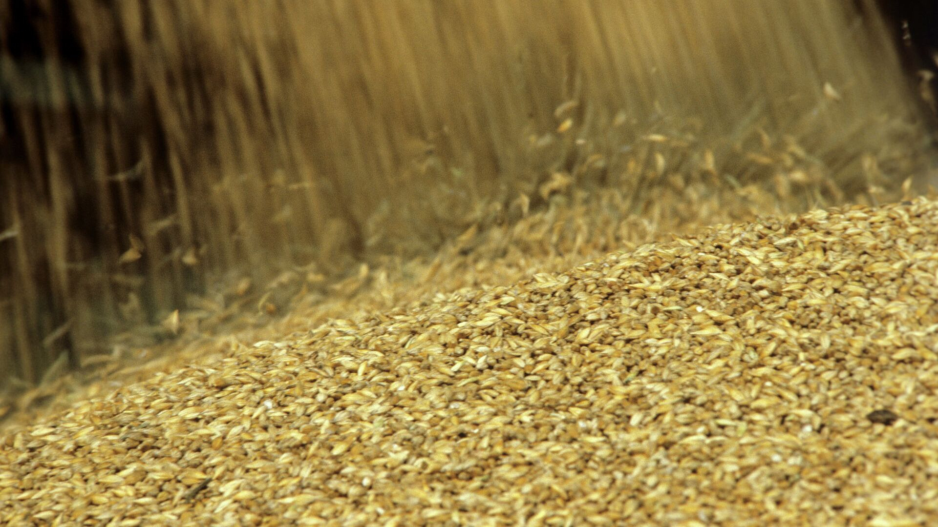 ����������� ��������� ������� ����������� ����� � �������