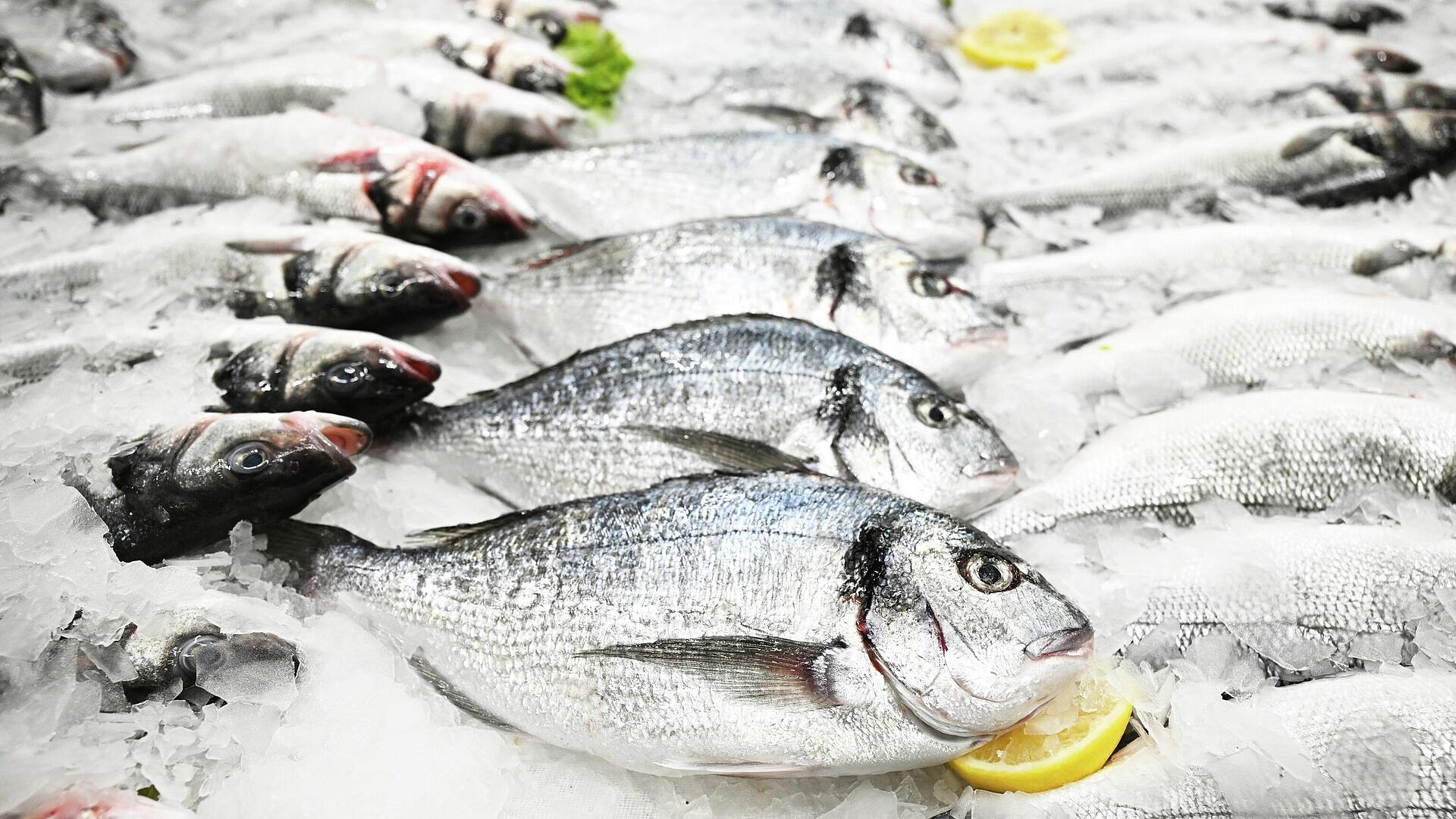 ������� ������ ����� ��������� ���� � ������