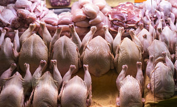 Молдавия приостановила импорт мяса птицы с Украины