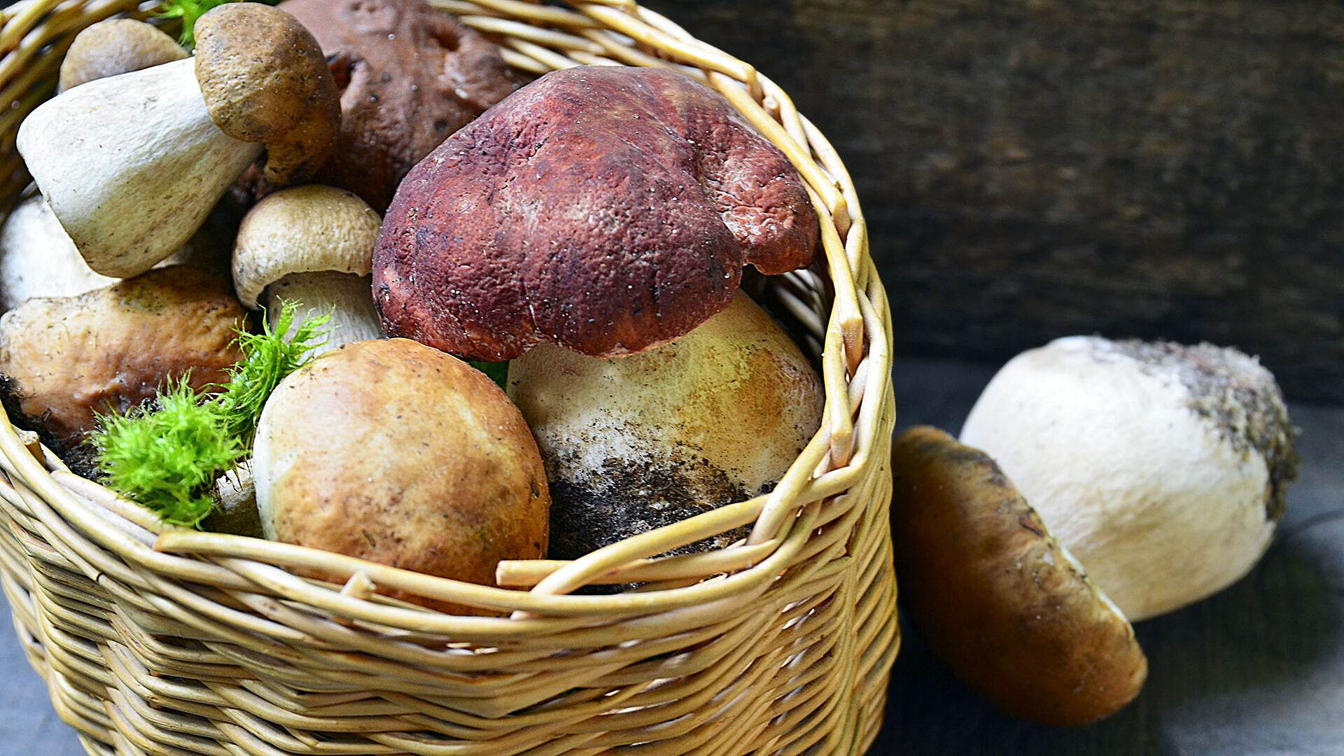 Грибной сезон в средней полосе России начался раньше, рассказала биолог