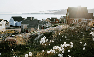 В Госдуме назвали Гренландию "яблоком раздора" между США и Западом