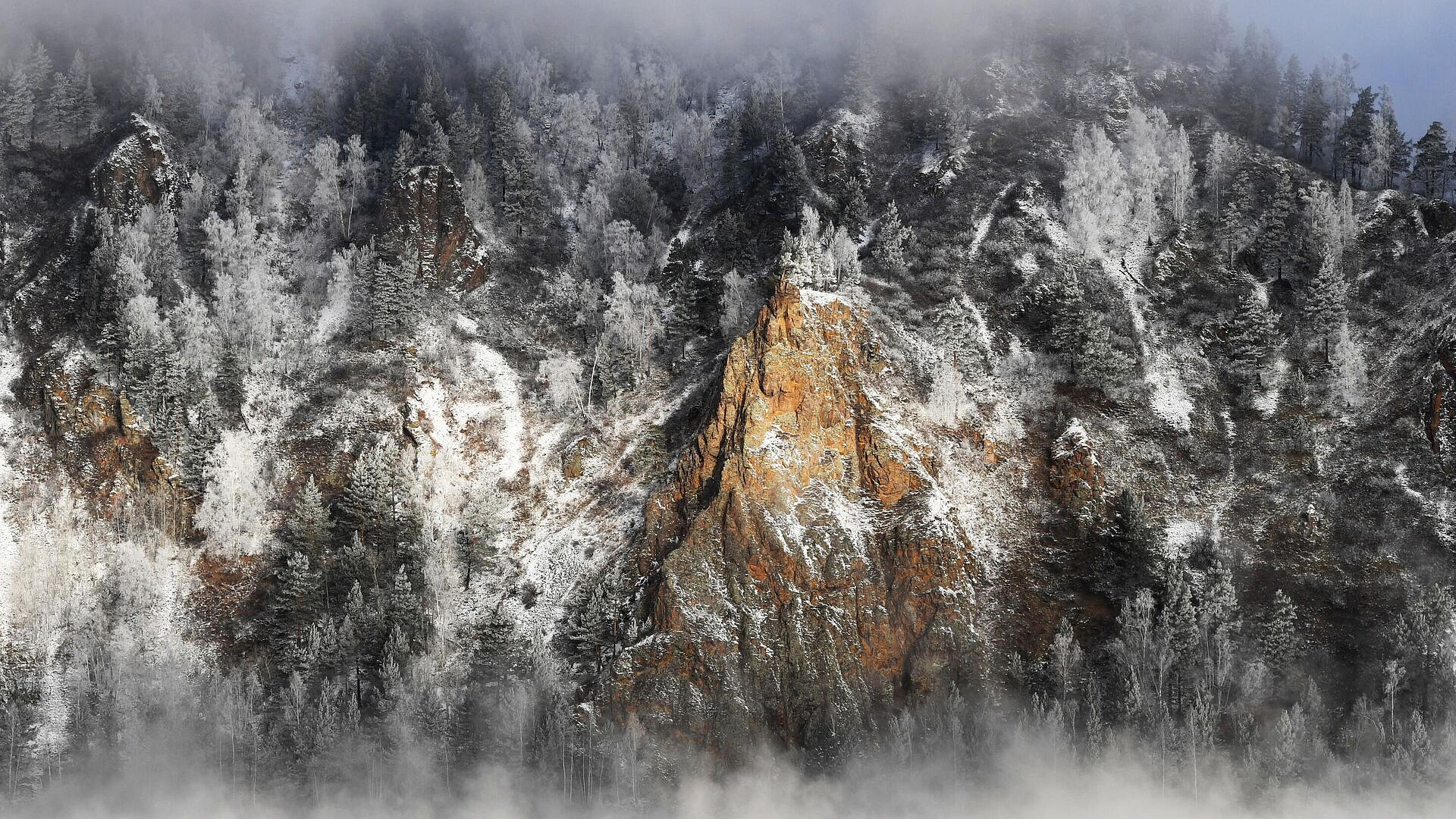 � ������������ ���� ���������� �������� �� ���������� ����� ����� ������