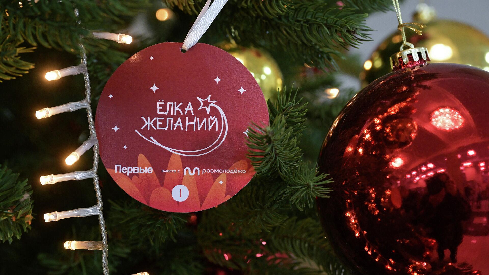 ���������� ��������� ������� ������������� � ����� "���� �������"