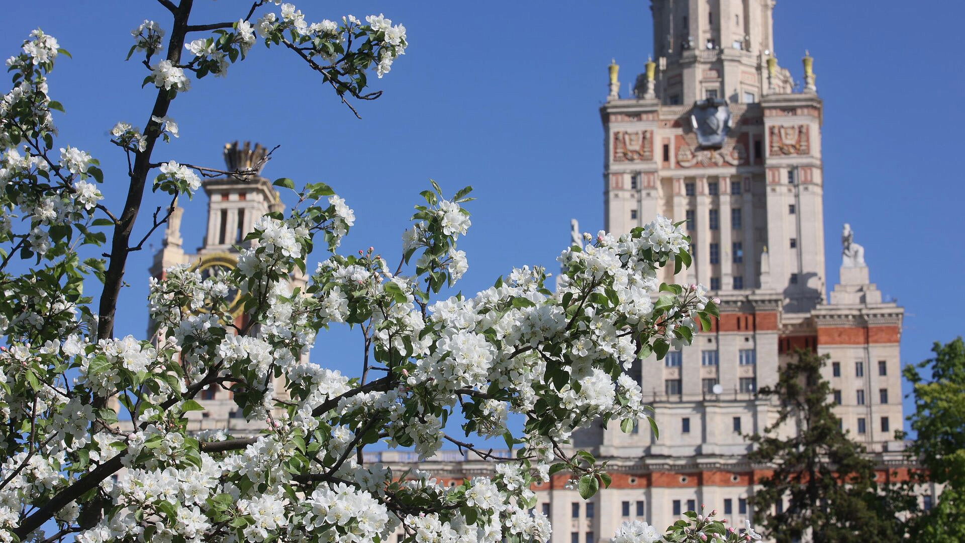 Синоптик рассказал, когда в Москве начнется арктическое вторжение
