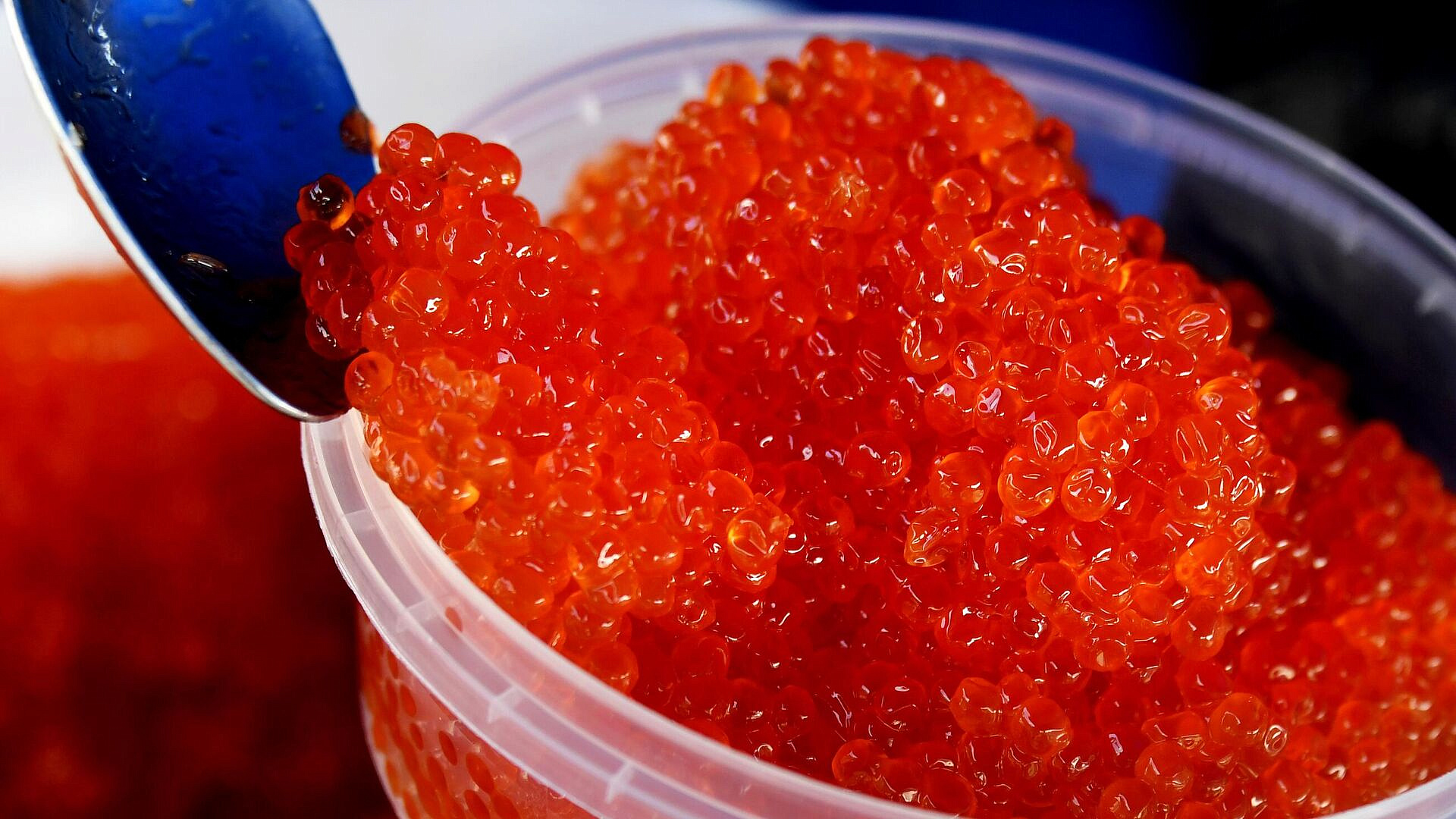 ��������������� ������� �������� ��������� ��� ��������� ������� ����