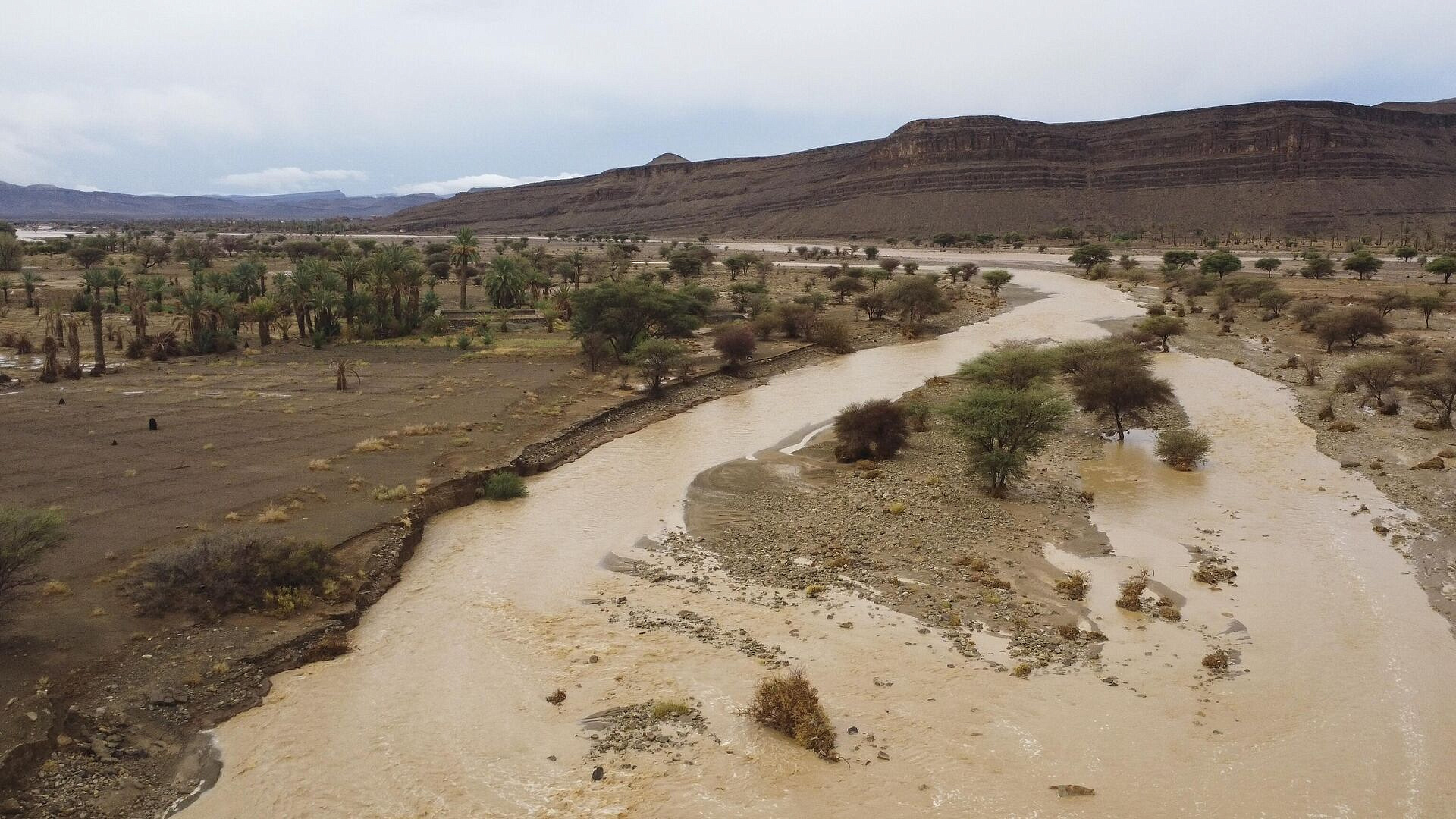 � ������� ������� ����� ����� ����������