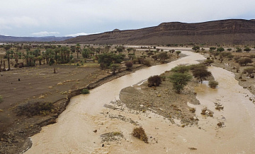 � ������� ������� ����� ����� ����������