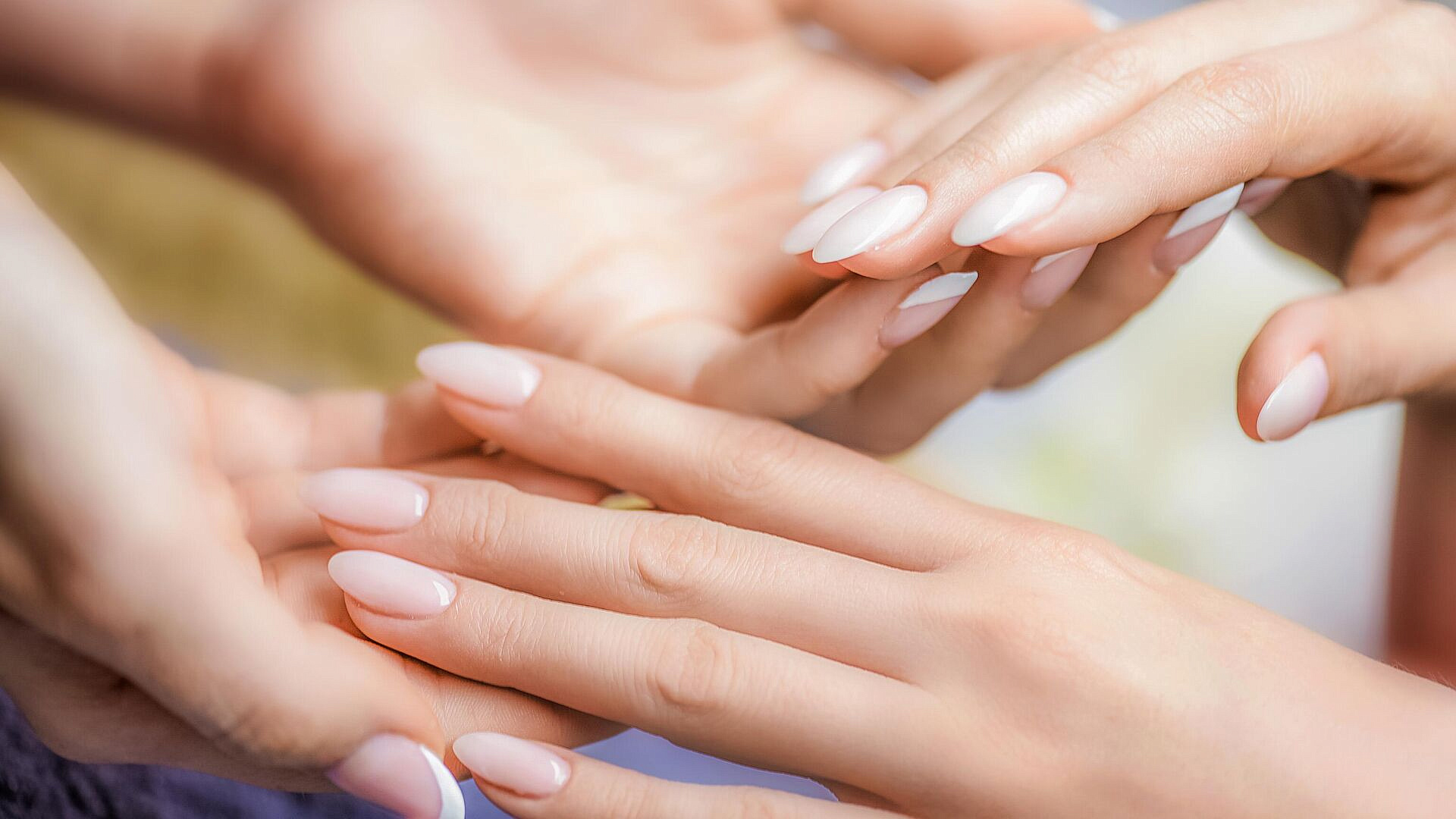 ���������� ������� 2026: ����� � ���� ������� ��� ���� �������� ������