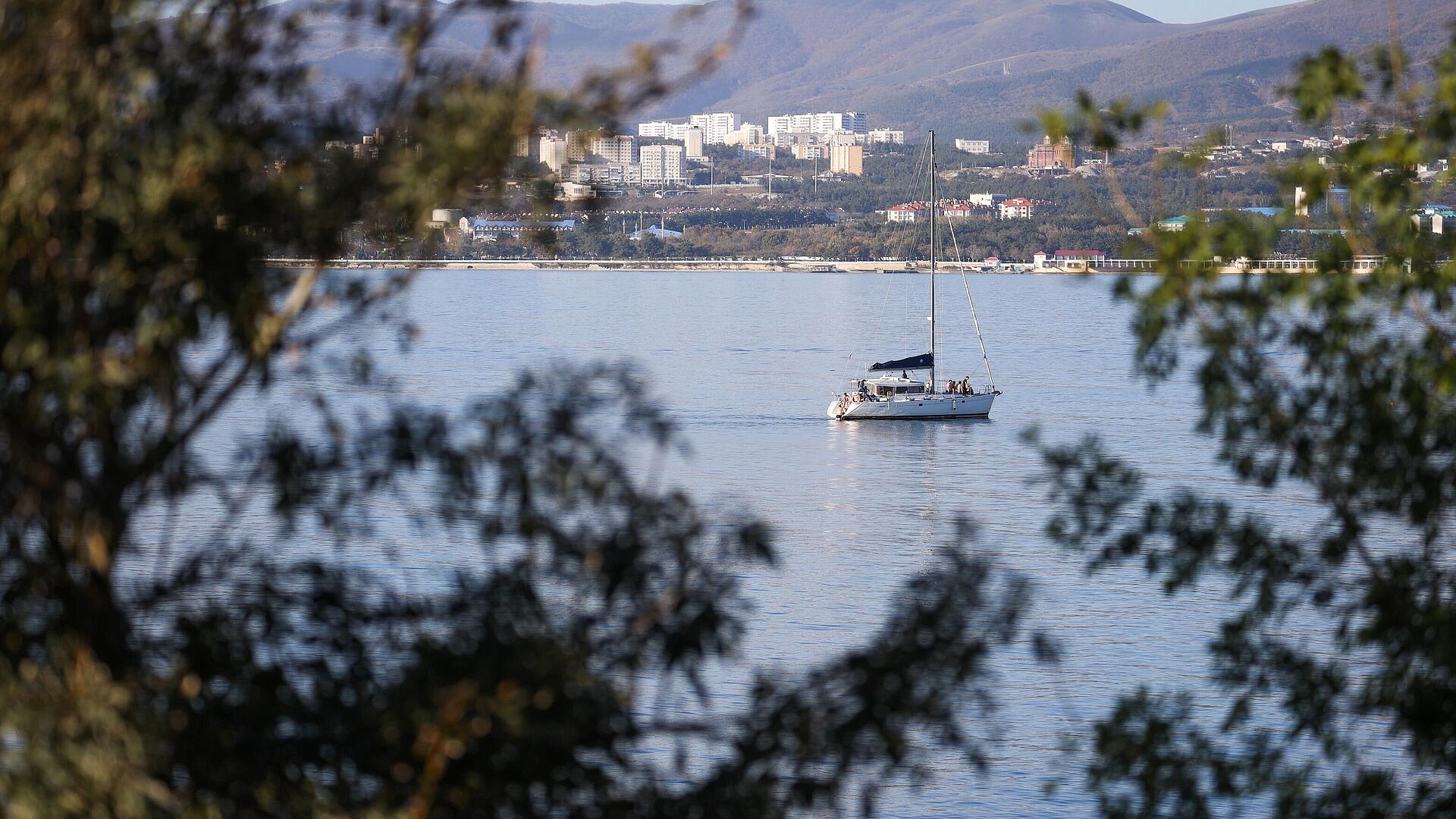 � ������ �������� ������ ���������� ���������������