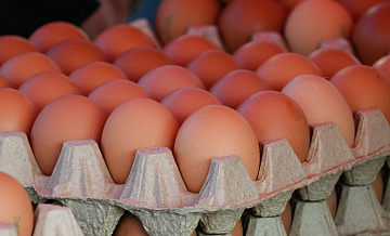 Названы города с самыми дешевыми и дорогими яйцами