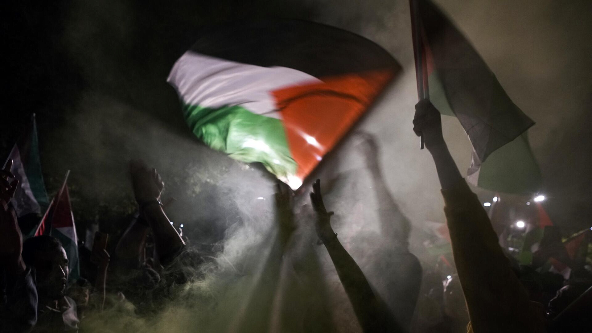 На пропалестинской акции в Британии задержали 16 студентов