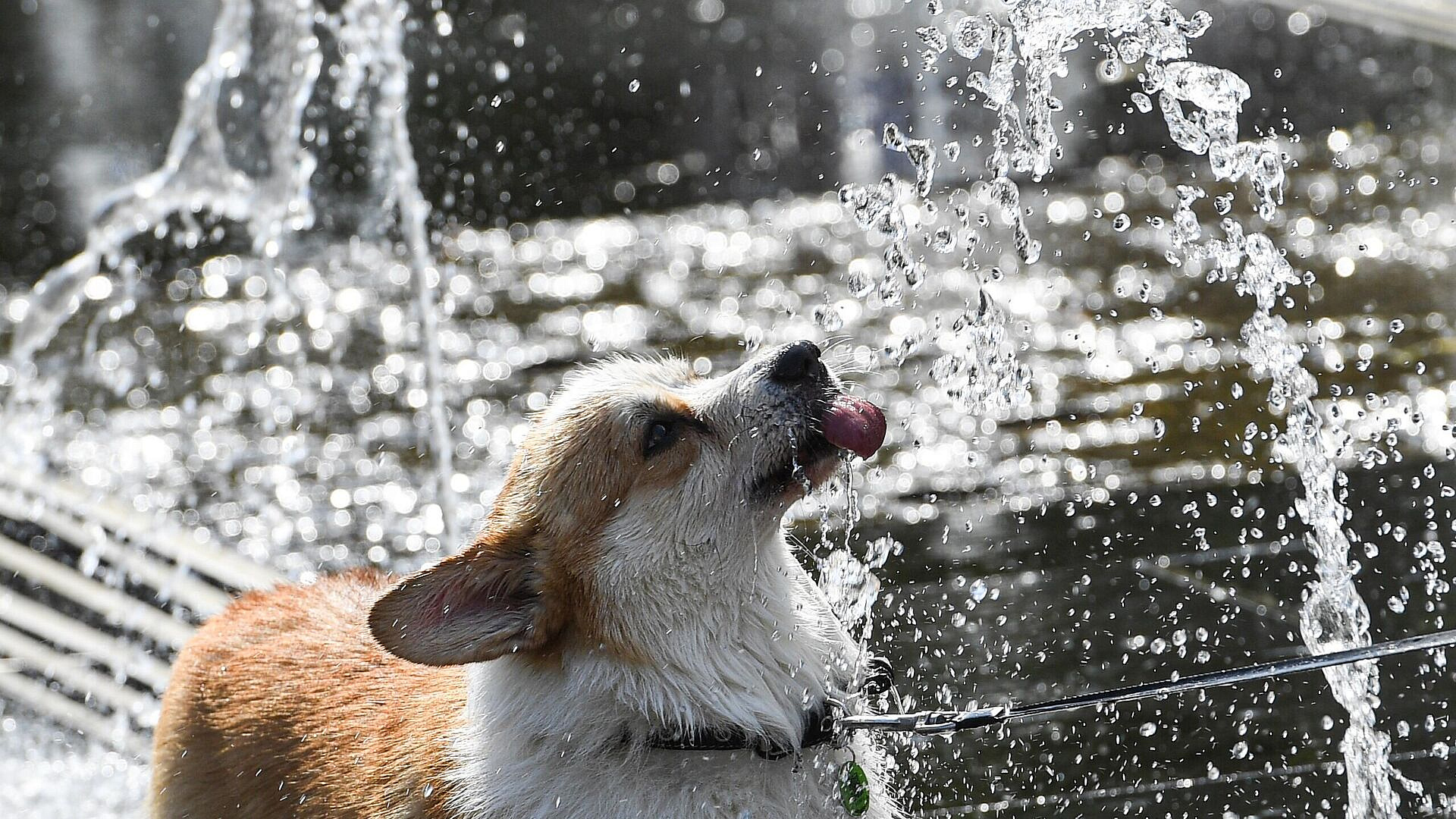 ������� ���������, ��� ����� ������ ����� ����������������� �� �������