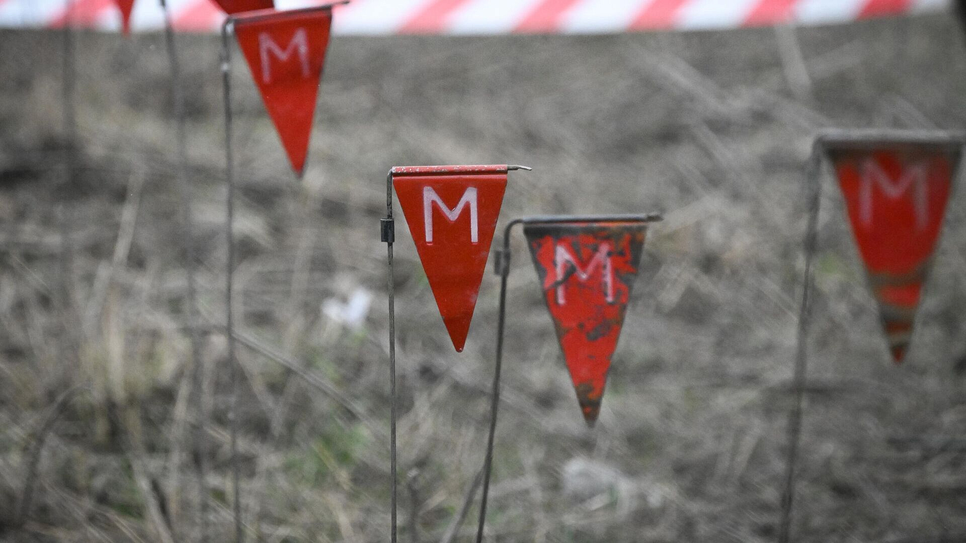 В ДНР разминируют до 30 гектар сельхозземель в неделю