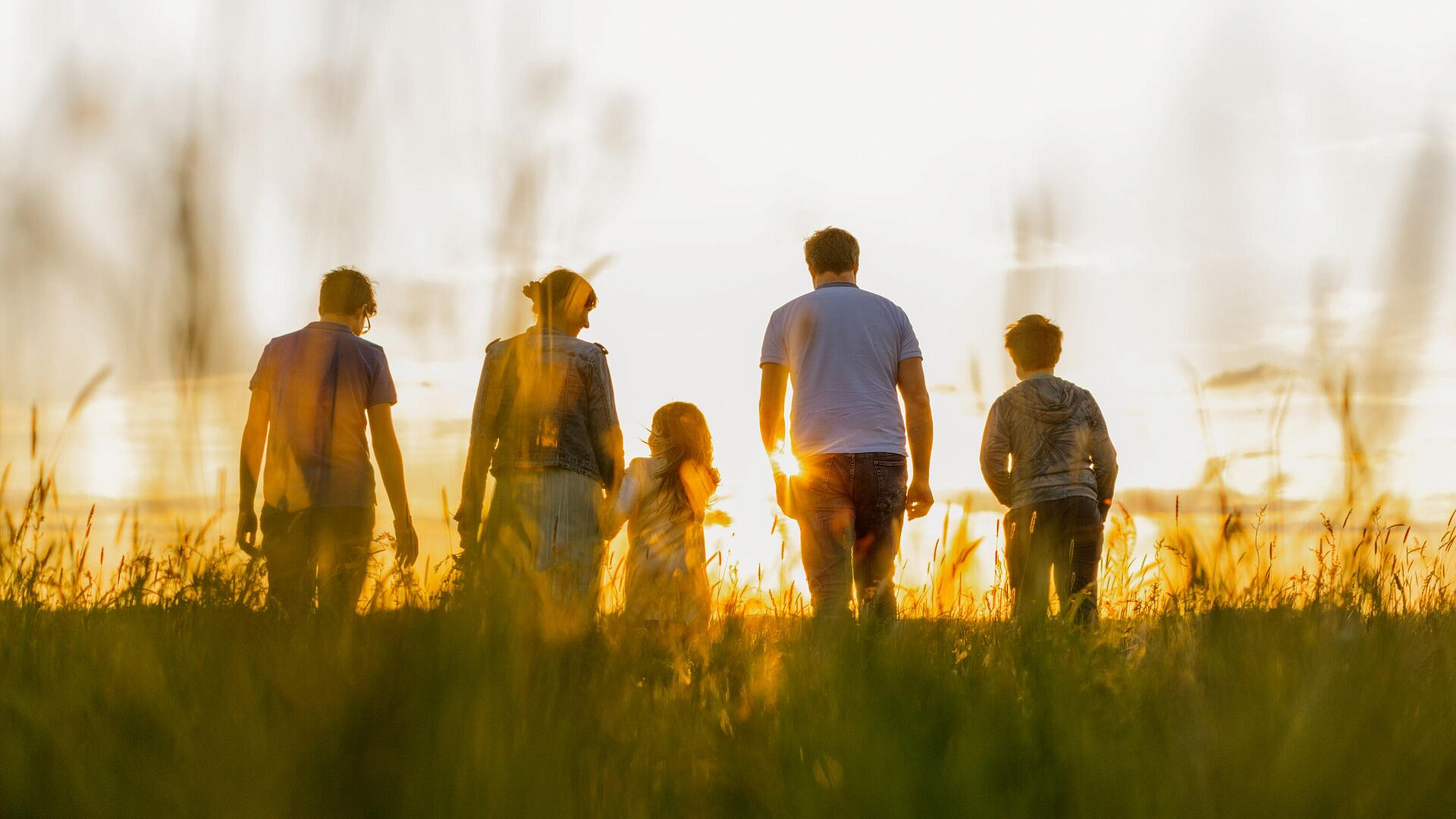 � ������� ������� ������ ����� �������� ��������� �������