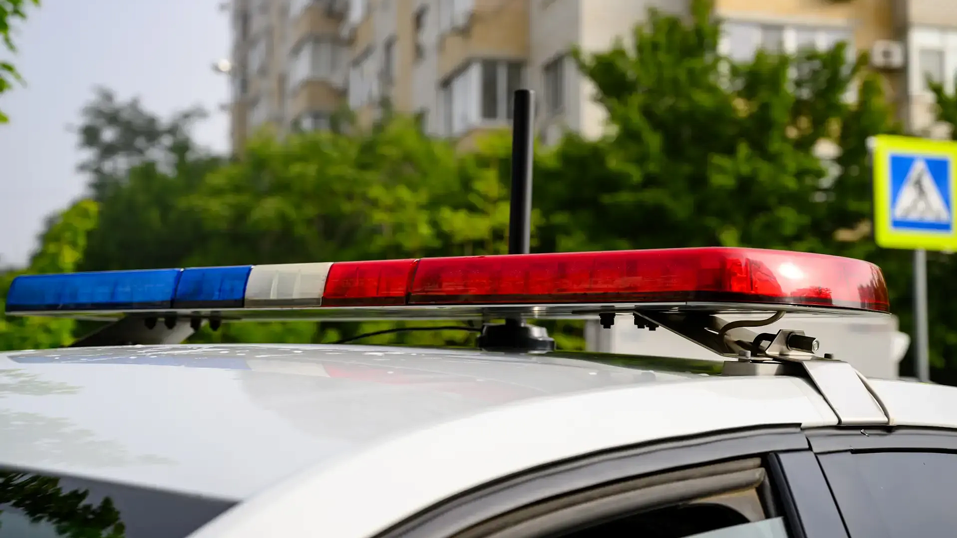 Более 70 тысяч россиян воспользовались онлайн-сервисом купли-продажи машин