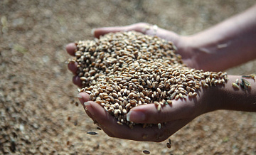 Патрушев рассказал об урожае зерна по итогам 2025 года