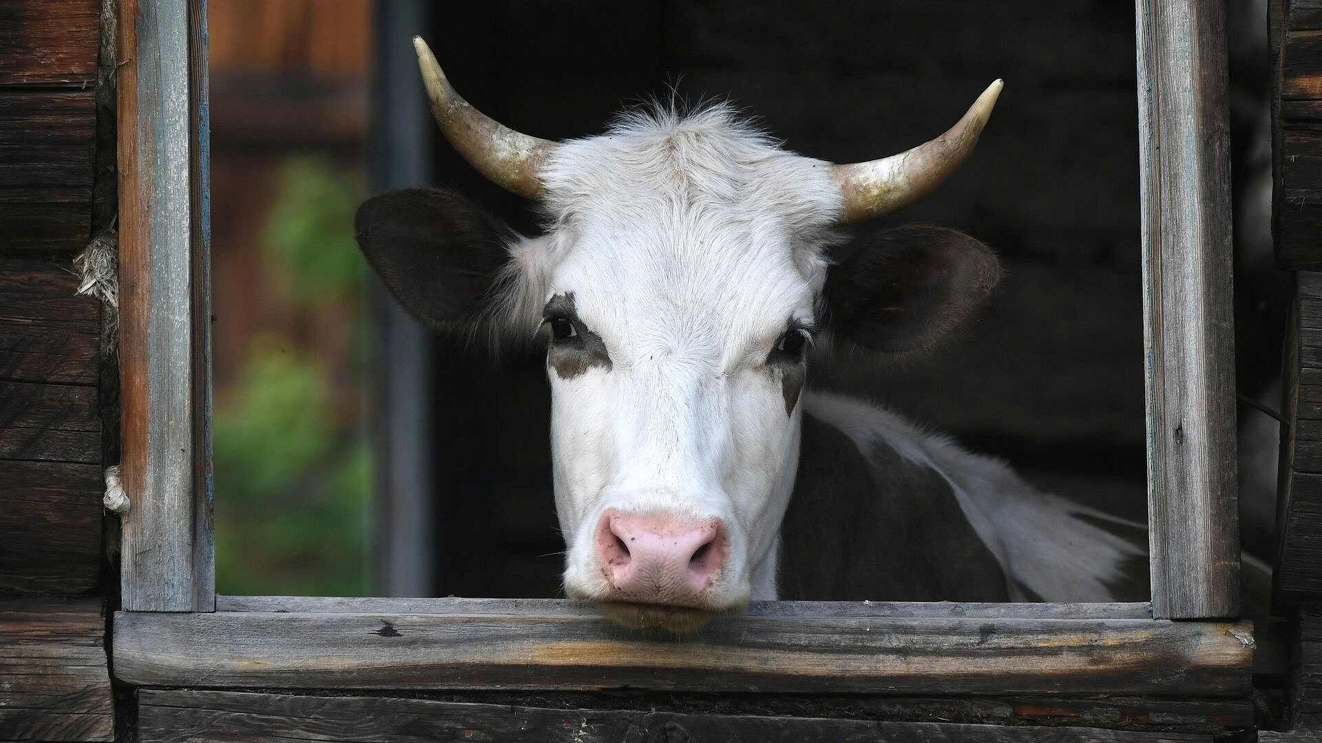 � ��������� ������ ������, ������� � ��������� ��� ������ ����