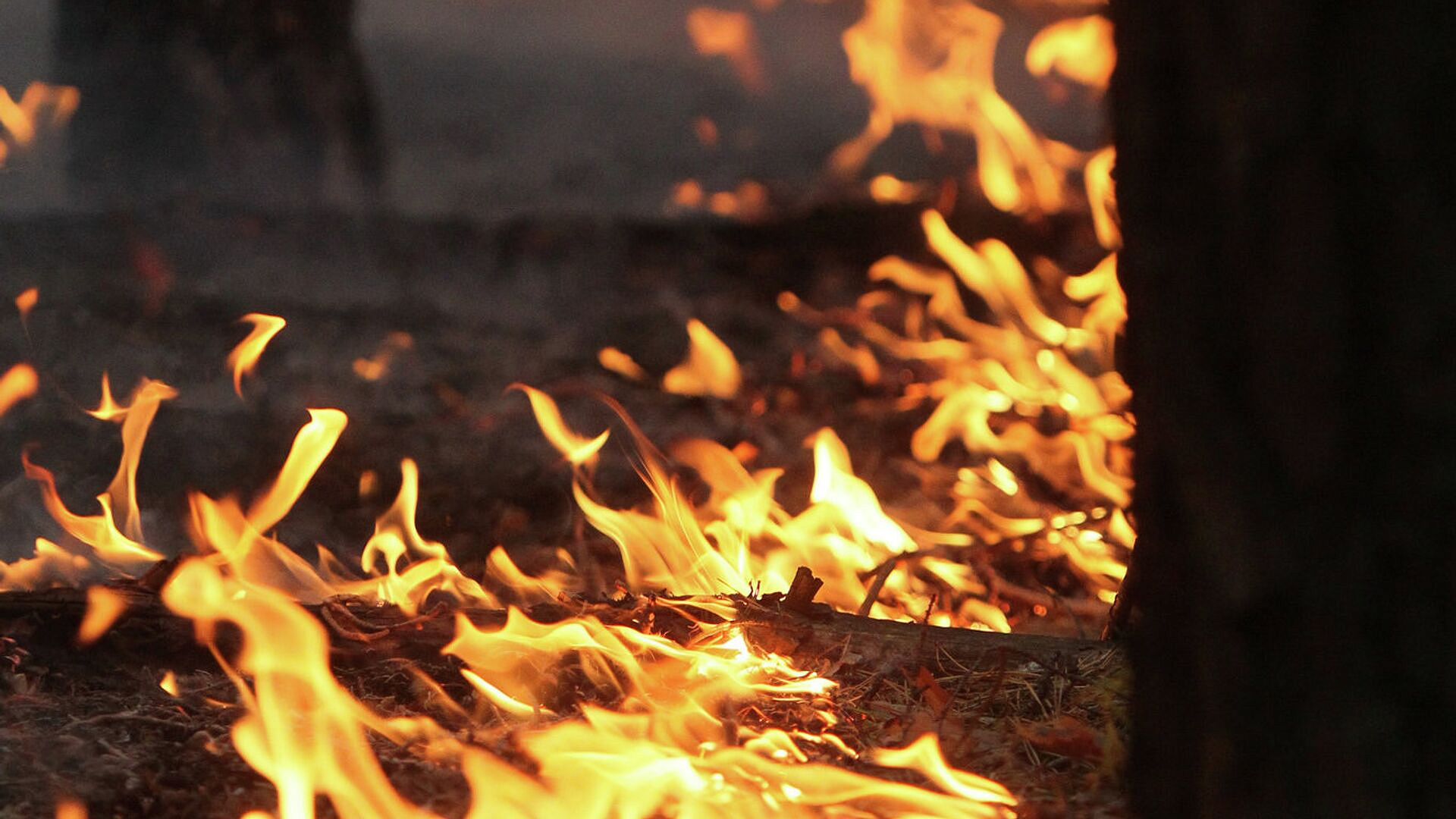 В МЧС рассказали, как развести костер и не поджечь лес