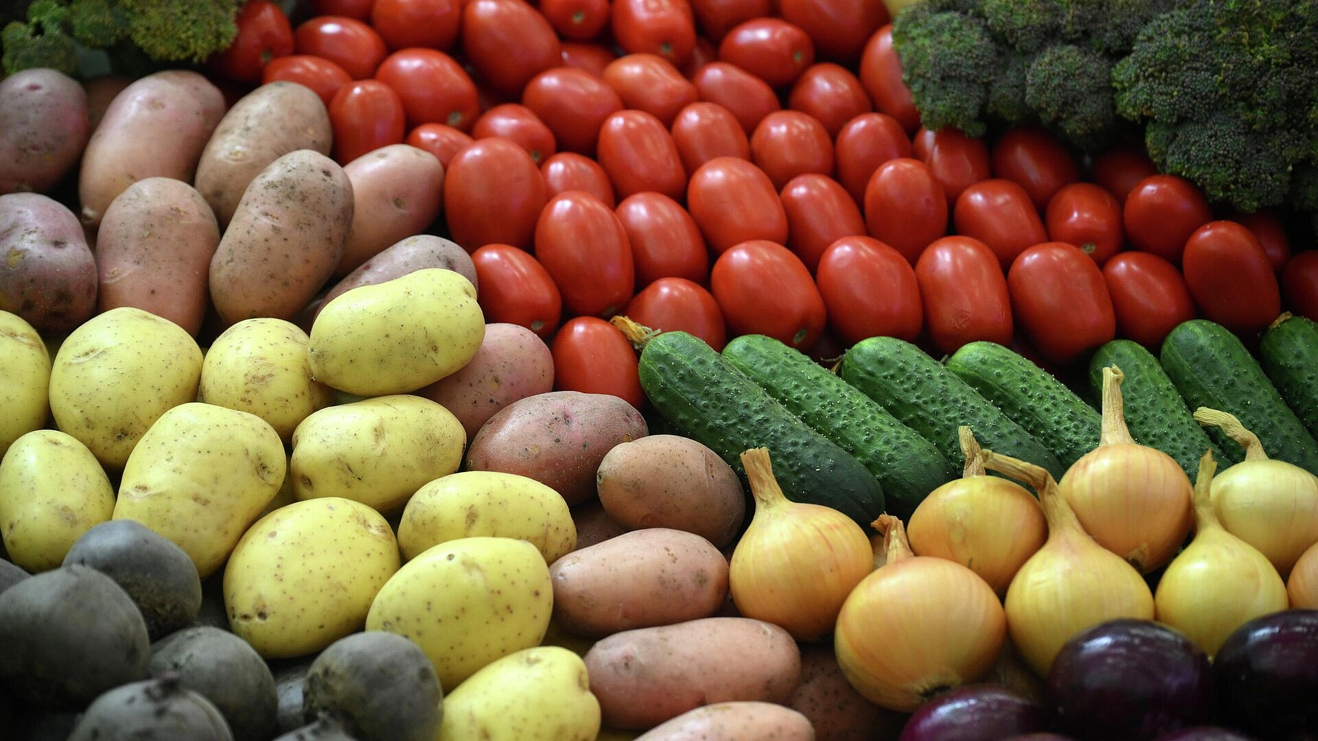 Подмосковье экспортировало 1,3 миллиона тонн продукции АПК