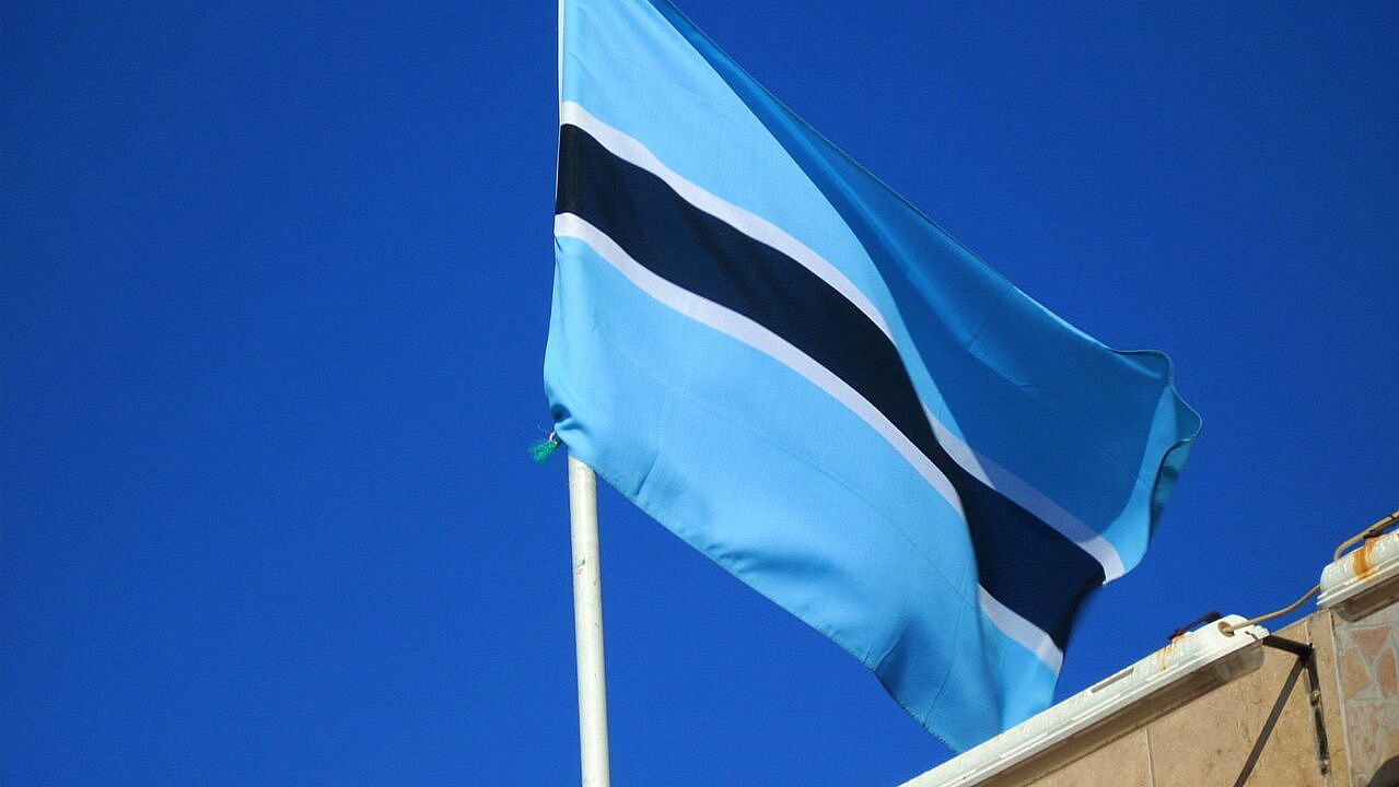 �������� �������� ������������ ���� ������ � ������������ ���������