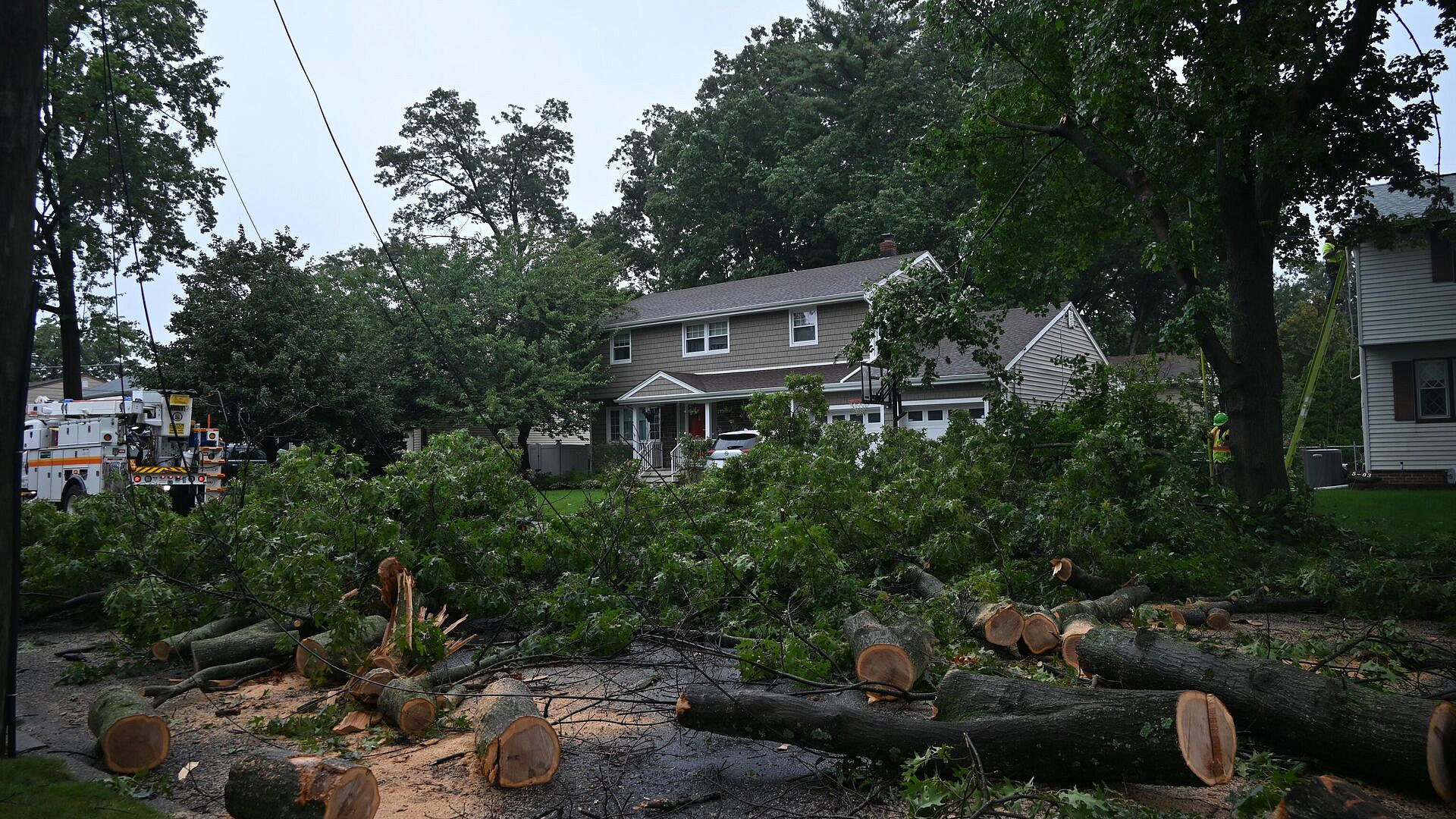 ��� �������� ������� �� ����� ������� � ���