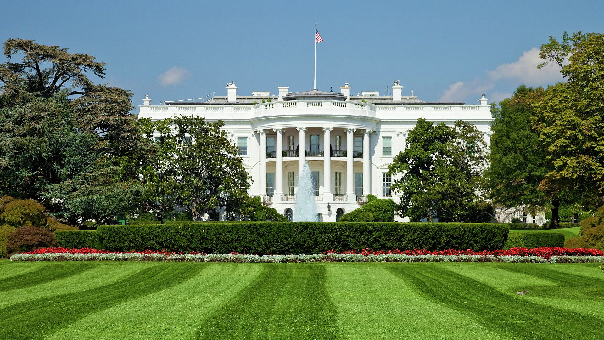 � ����� ���� ������� � ���������� ��������� ������� � ������������� �����