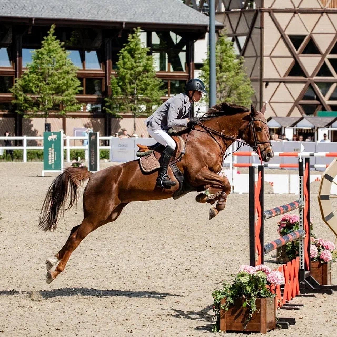 ��������� ������ ��� ������: BN Group ���������� �� ������������� ������ �� �������