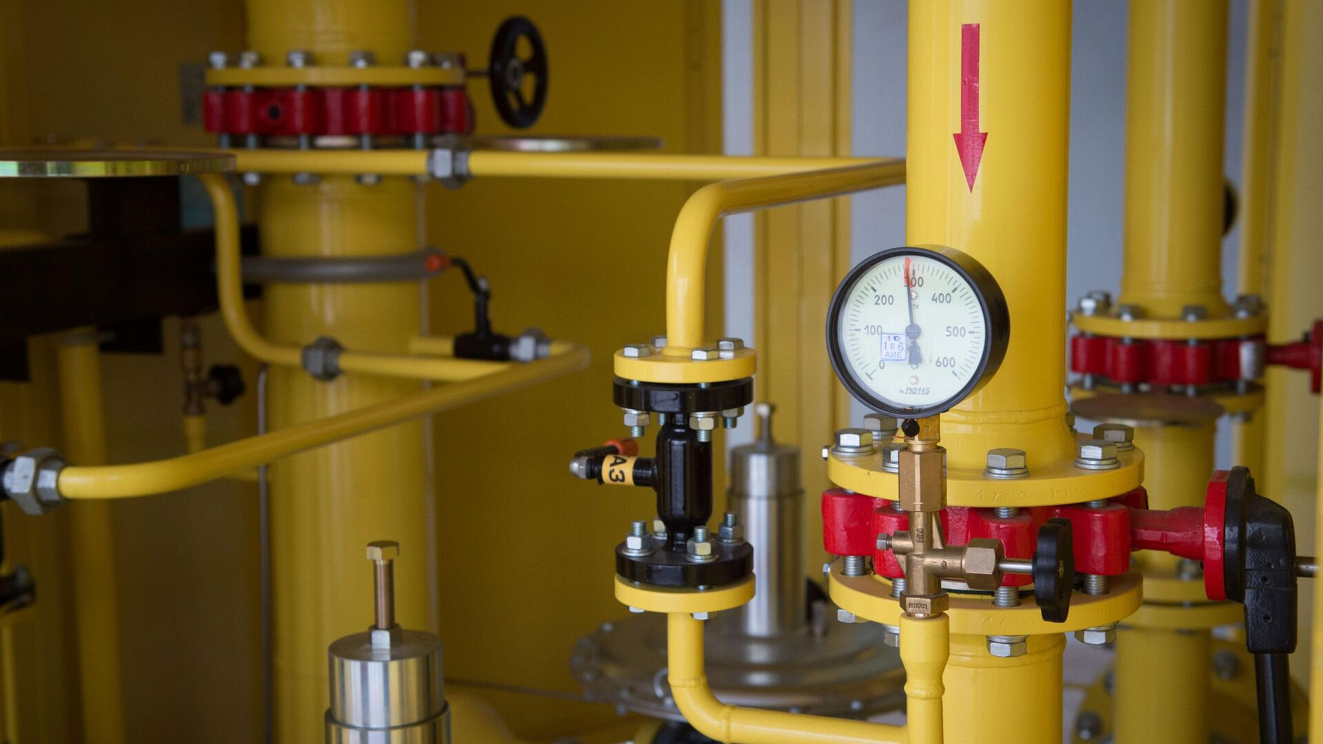 � ������ � ������� ���� ��������������� 19 ���������������� �������