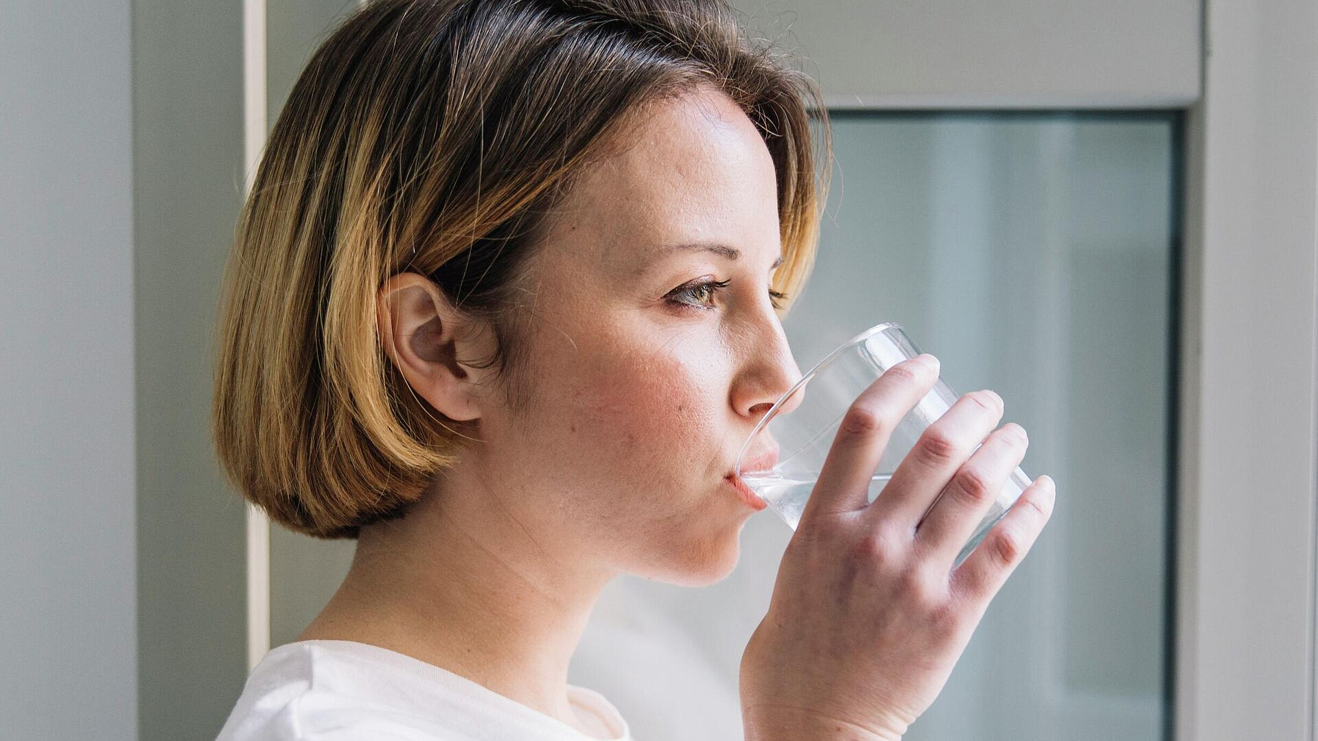 ���� ����������, ����� �� ���� ���� �����