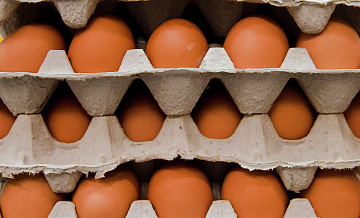 ФАС прокомментировала ситуацию с ценами на яйца