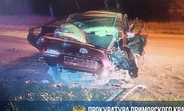 В Приморье опрокинулась иномарка, погиб ребенок