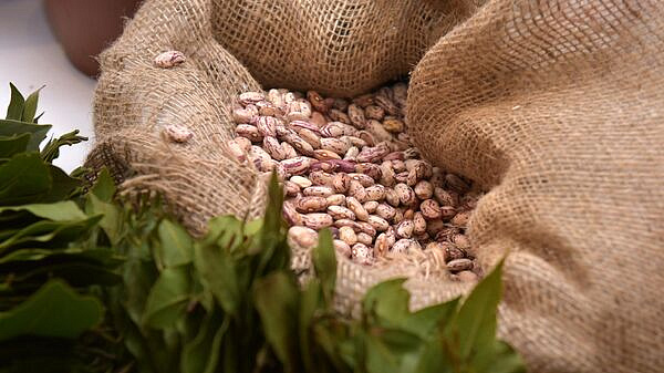 Правительство выделит дополнительные средства на закупки сельхозпродукции