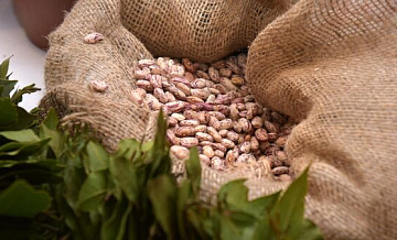 Правительство выделит дополнительные средства на закупки сельхозпродукции