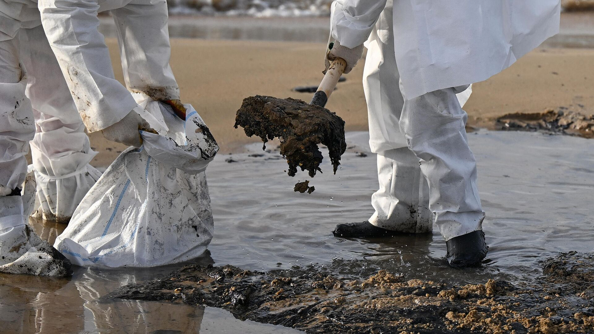 Более 900 километров берега очистили после крушения танкеров