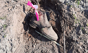 Свердловские волонтеры, ищущие захоронения времен ВОВ, получат поддержку