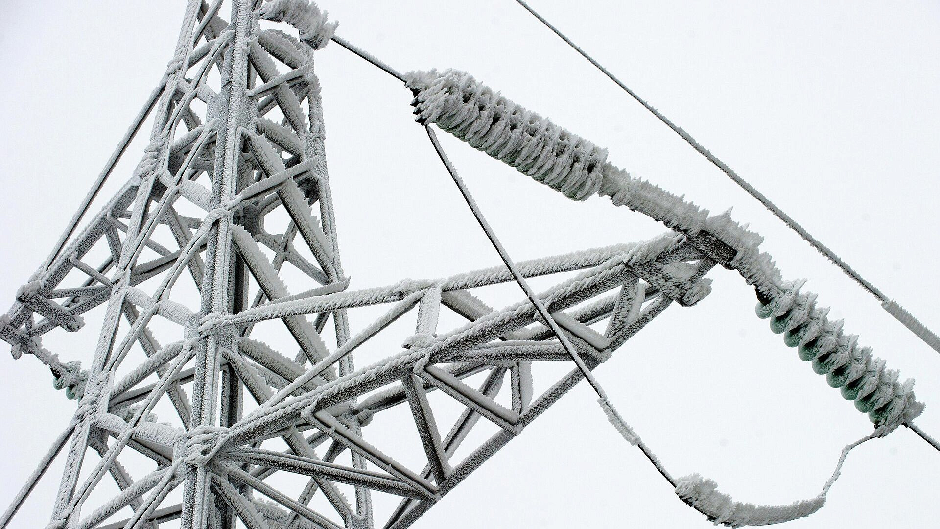 �� ������� ������������� ���������� �������� ����� ������� ��������������